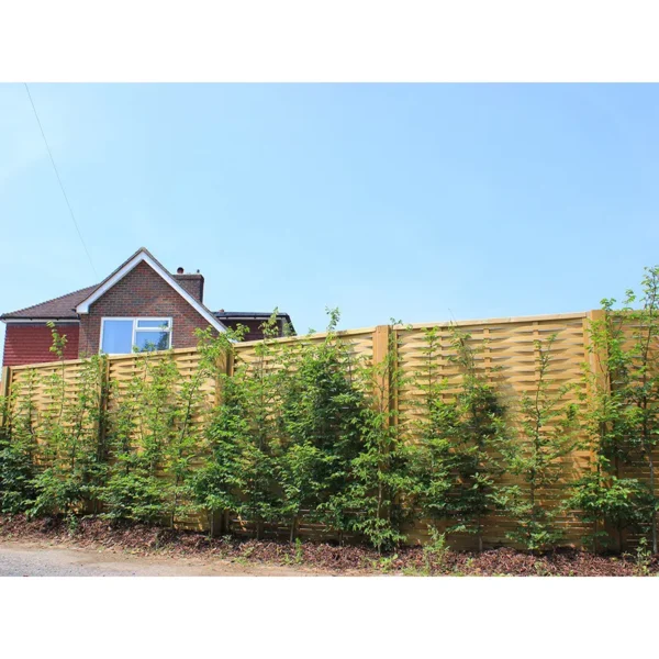 6ft Jacksons Woven Fence Panel (1830 x 1830mm) – Pressure Treated Green Timber
